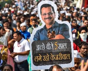  Ten years were planted in Punjab, how will it be amazing in Himachal in a few months!