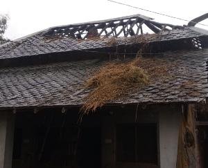 गौशाला में लगी आग, डेढ़ लाख रूपये का नुकसान