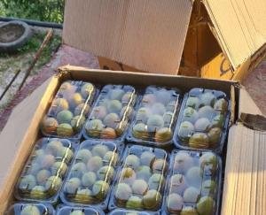 Due to the drought in the state, the gardeners are facing double whammy due to increase in the price of cartons.