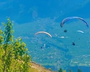  Paraglider accident in Dobhi, tourist and pilot killed