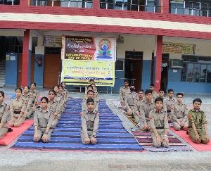 International Yoga Day celebrated by DAV Alampur