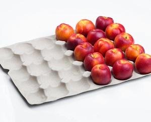 Price of apple packing tray increased again in Himachal Pradesh