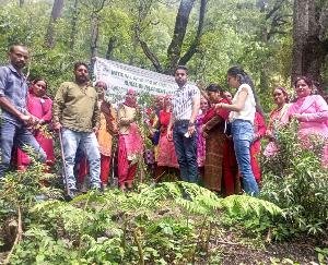 NABARD celebrated 41st foundation day by planting trees