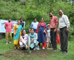 Plantation program organized in Gram Panchayat Saparun