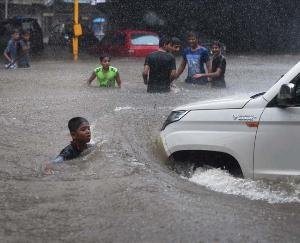 The rain became a disaster from the mountain to the field
