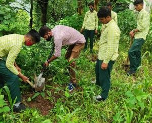 Plants were rapped in Budhaar School with the help of Eco Club