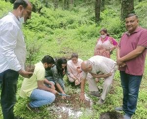 Plantation is necessary to save the environment: Khanna