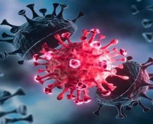 Corona's speed slows down in India