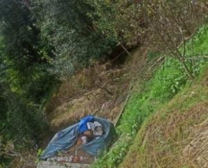 Apple-laden pickup fell into a ditch in Chogan Kulti Panchayat of Kotkhai