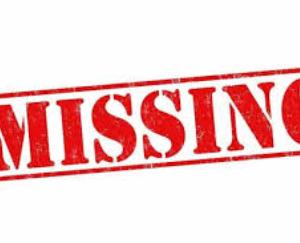 Minor girl goes missing from Tutikandi, case registered
