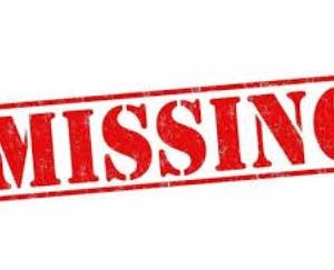 Minor girl goes missing from Tutikandi, case registered