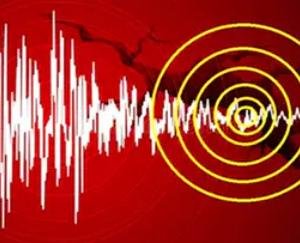 Earthquake tremors felt in these areas of Himachal Pradesh last night, magnitude 4.1 on Richter scale