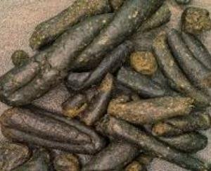 Rampur: SIU Shimla team recovered 802 grams of charas from the youth