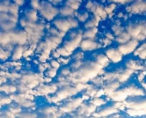 Shimla: The Meteorological Department has predicted clear weather till November 25.