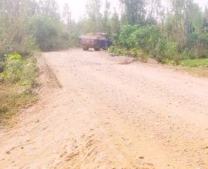 Governments could not build a single concrete bridge for the people of Mand region