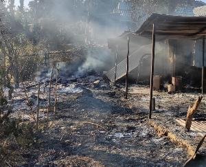 Fire broke out in tinposh cattle shed in Nangal Bassi, animals scorched