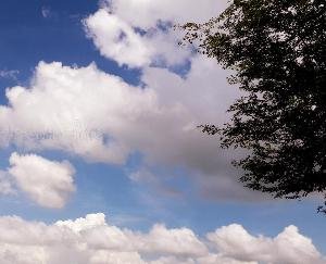 Shimla: Clear weather in the state till November 28, Meteorological Department gave information