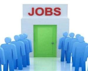Employment opportunities for youth, campus interview held for 150 posts