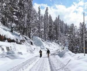 Bad weather will continue in Himachal Pradesh till January 26