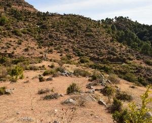 Rajiv Gandhi Model Day Boarding School will open in district Solan, administration has selected land in five assembly constituencies