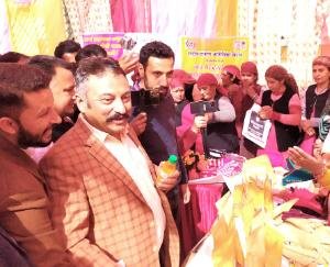 Rohit Thakur laid the foundation stone of Jubbal School administrative building to be built with 1.43 crores.