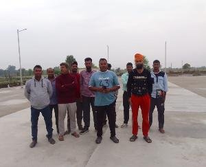 Heavy damage to wheat crop due to rain in Mand, farmers sought compensation