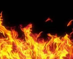 Gaushala along with slum gutted in fire