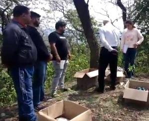 Dehra: Department took cognizance of expiry medicines found in Tatahan forest on Haripur-Bankhandi road