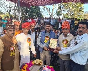 Kangra: Expansion of old Kangra-Vaud Kavalu road with 15 crores: Kajal