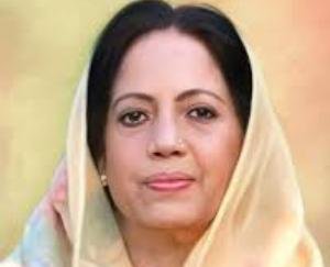 Shimla: MP Pratibha expressed grief over the horrific fire incident in Banjar 111 144