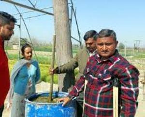 Earning 4 lakh rupees annually from crops prepared by natural method