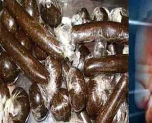 Jwalamukhi: Police seized 22.39 grams of charas from a person