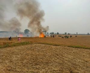 Indora: Fire in dry wheat of 8 farmers, loss of lakhs