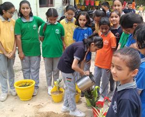 Ghumarwin: In Minerva Pschool Ghumarwin, children planted saplings in the school premises