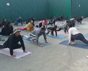 5484 people of Kinnaur were made aware to do yoga