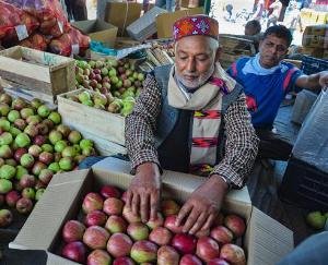  Storage rates fixed at HPMC CA stores for current apple season