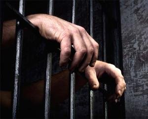 Mandi: 12 years imprisonment to 3 charas smugglers, fine of Rs 50-50 thousand