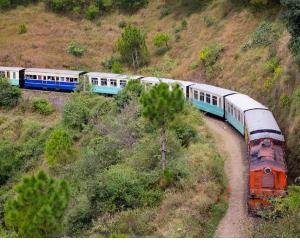  Fifth Bhalku Smriti Literary Rail Yatra will be held on Kalka-Shimla route on 8th and 9th  222