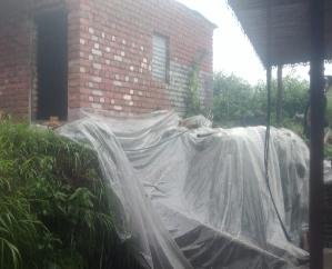 Sirmaur: Danger looms over the Gaushala of Leela Devi of Devthana Nandi, appeals to the government for help