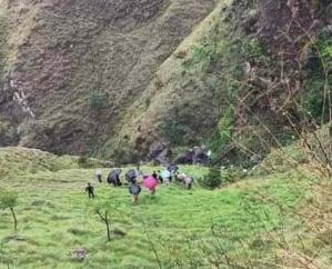 Tragic: Car fell into a deep gorge in Nirmand, five people died