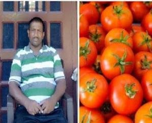 Mr. Renuka: Himsona tomatoes broke records, a crate sold for Rs 7,200 in Delhi Mandi.