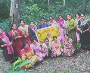  Members of Joginder Nagar Sanch planted saplings in Ladruhi