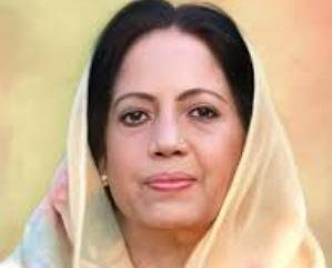 Shimla: Victory of democracy in Rahul case: Pratibha