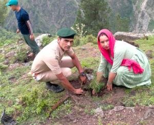 Bharmour: Maa Bhavani Yuvak Mandal Sirdi planted saplings under 'Meri Mati Mera Desh' program 123 333