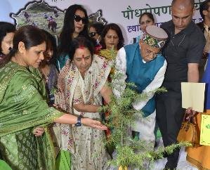  Shimla: The Governor inaugurated the 74th Van Mahotsav