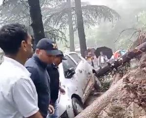 Landslide in Shimla's Dudhli, three vehicles buried under debris