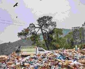 Shimla: Plastic waste processors must register under the centralized portal
