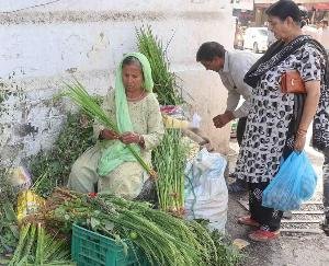 मंडी में सायर पर्व की तैयारियां जोरों पर