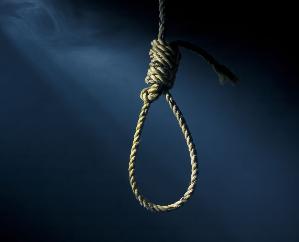 Shimla: Dead body of a youth of Nepali origin found hanging from an apple tree.