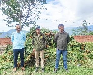  Forest department collected Rs 83 thousand fine from smuggler of Birna fern